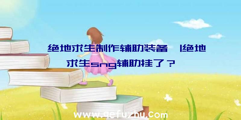 「绝地求生制作辅助装备」|绝地求生sng辅助挂了？